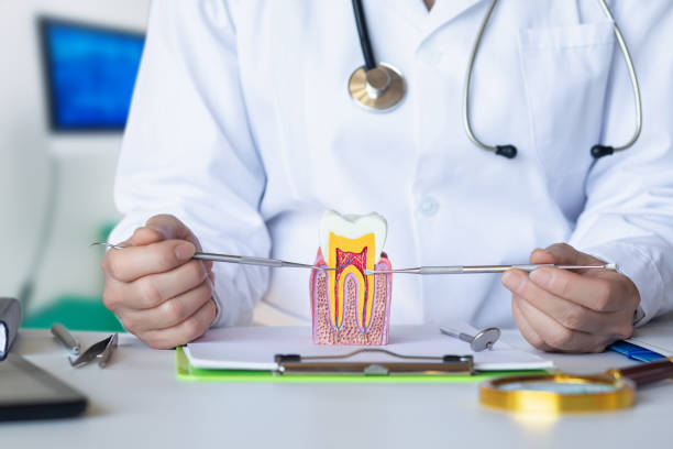 Best 24-Hour Emergency Dentist in Van Buren, AR